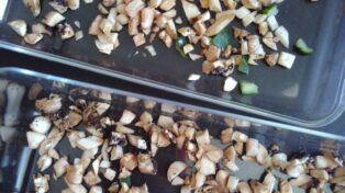 Des morceaux de champignons prets à sécher. Il sont petits (0,5cm par morceaux) et étalés. Certains se touchent.