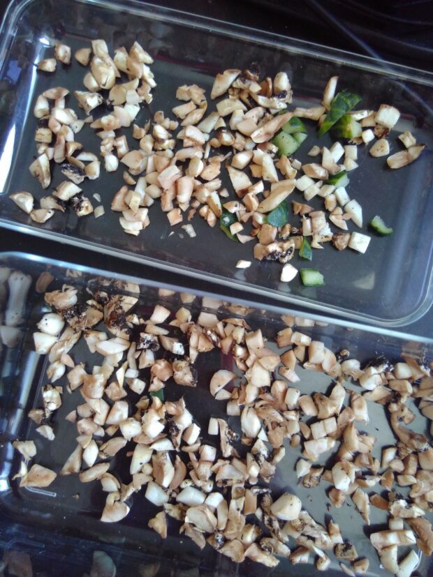 Des morceaux de champignons prets à sécher. Il sont petits (0,5cm par morceaux) et étalés. Certains se touchent.